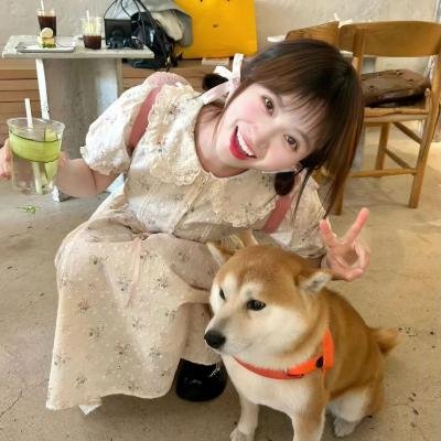 纽约灾星第二季